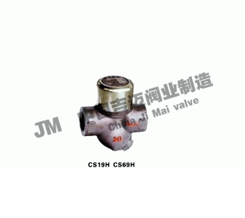 熱動(dòng)力式Y(jié)型蒸汽疏水閥